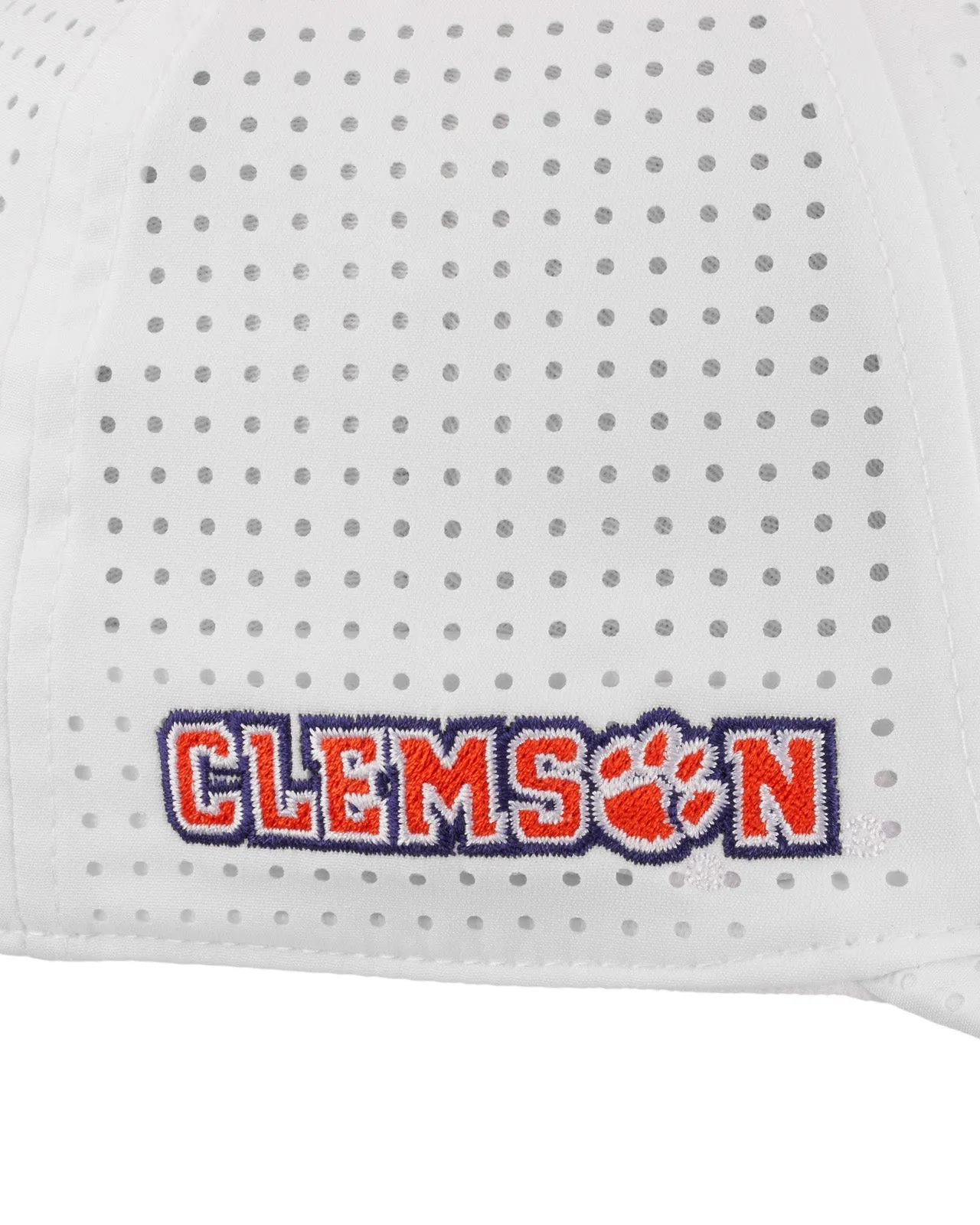 Clemson Laser