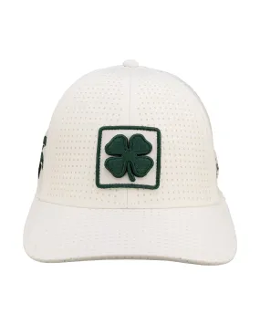Michigan State Laser
